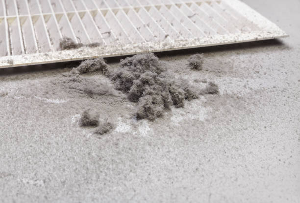 Best Air Duct Cleaning Near Me  in , GA